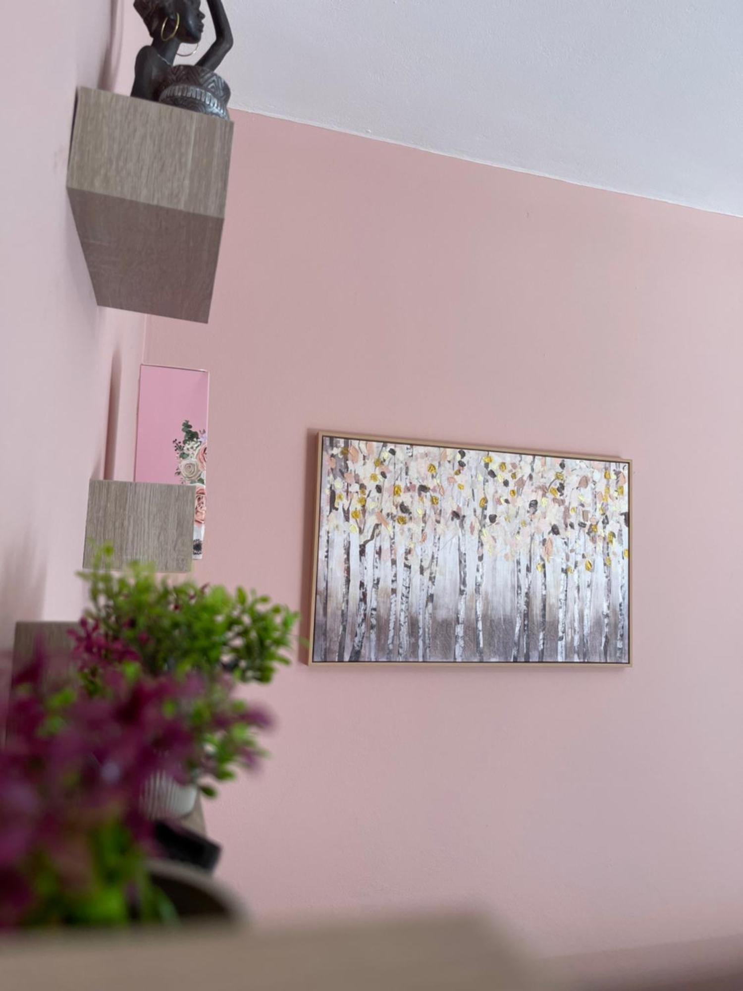 Bougainvilla ساراندا المظهر الخارجي الصورة