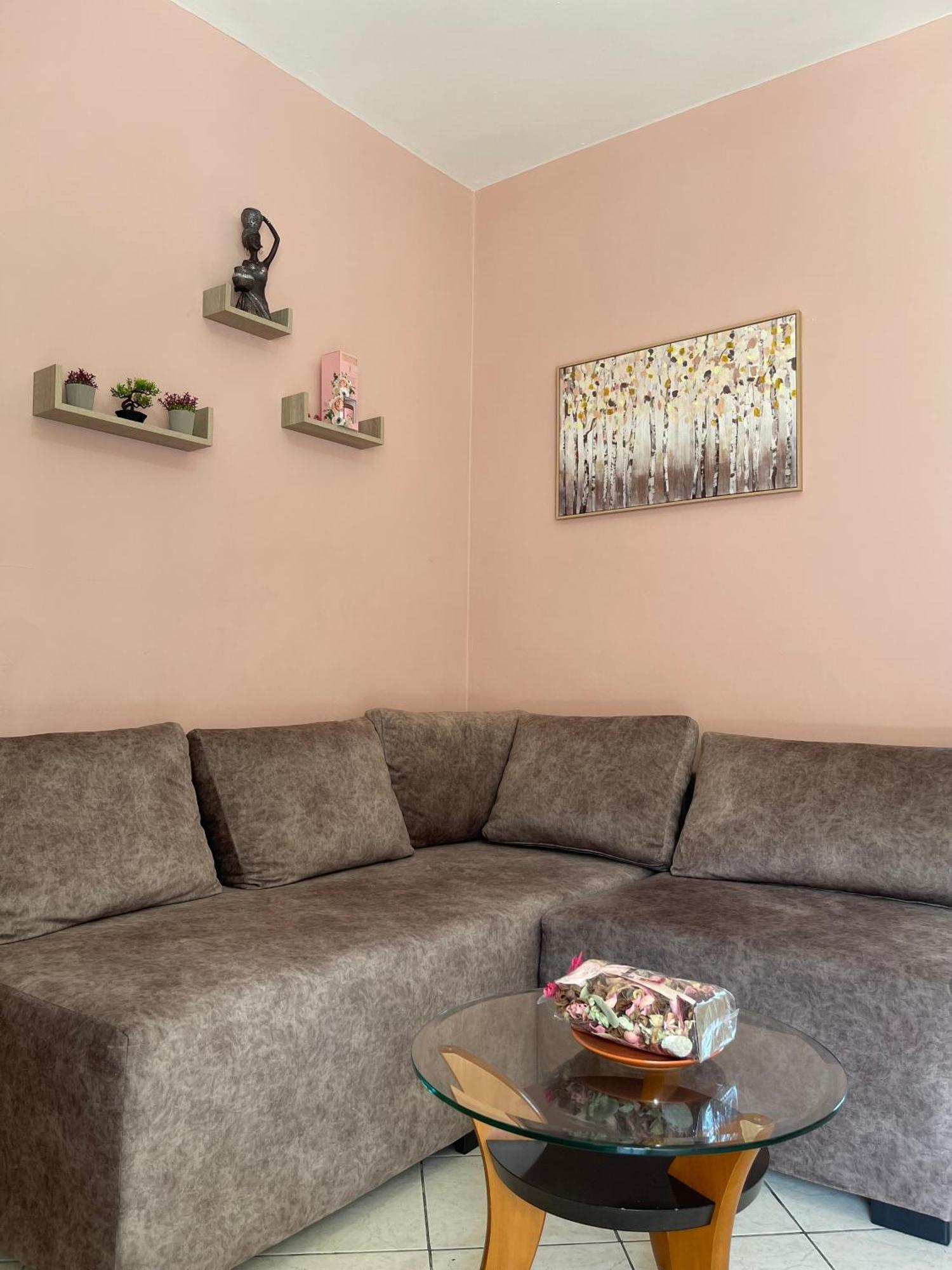 Bougainvilla ساراندا المظهر الخارجي الصورة