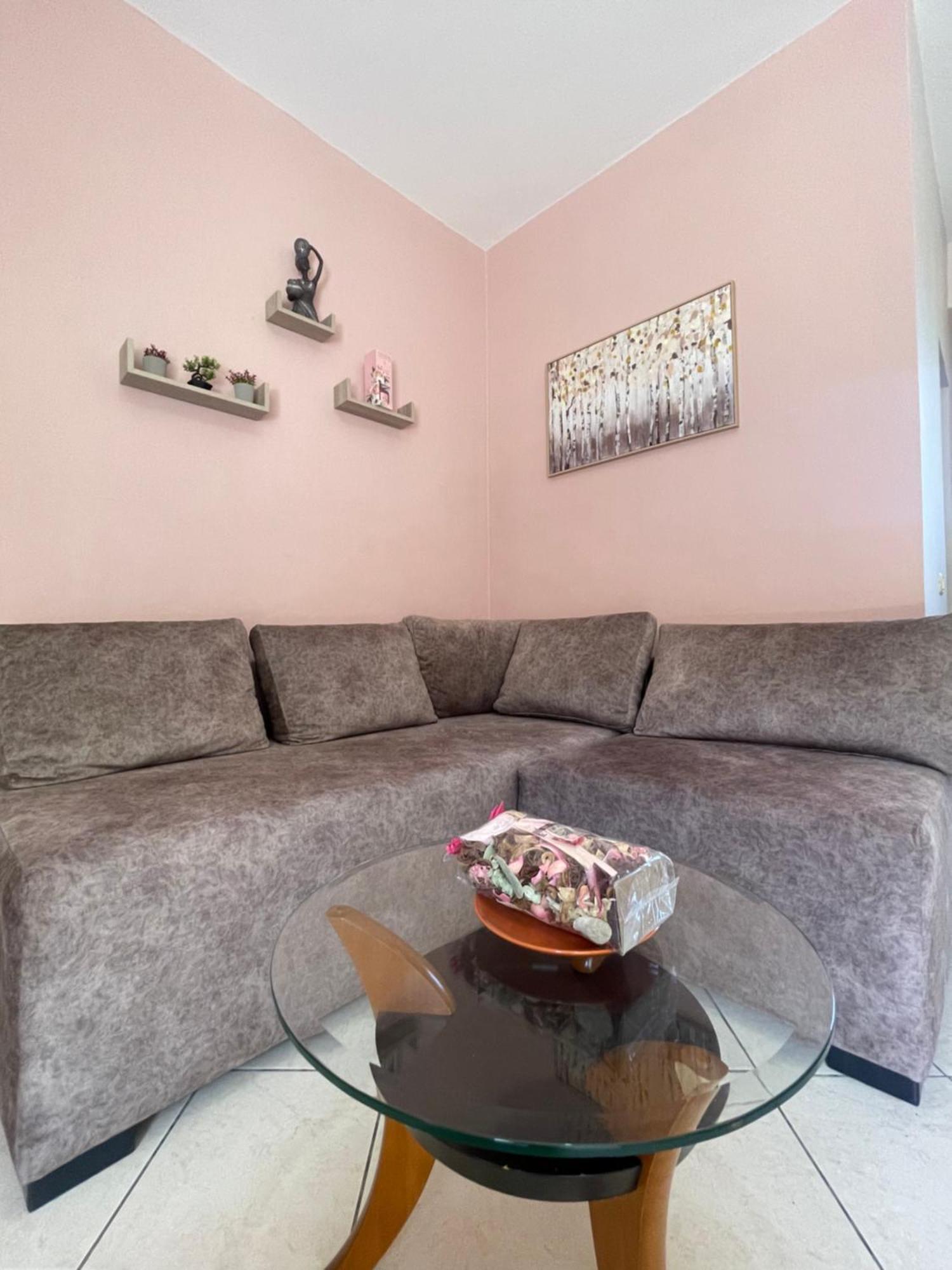 Bougainvilla ساراندا المظهر الخارجي الصورة